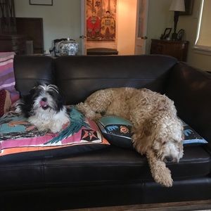 Meet your Posher, Kenneth